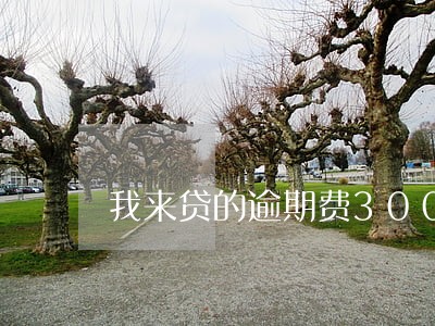 我来贷的逾期费300
