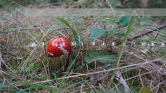 我来贷逾期3年说要上门核实资料 我来贷逾期3年说要上门核实资料