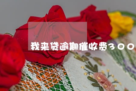 我来贷逾期催收费300 我来贷逾期催收费300