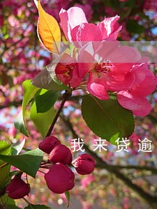 我来贷逾期费用400 我来贷逾期费用400