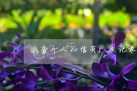 我查个人征信有5次记录逾期 我查个人征信有5次记录逾期