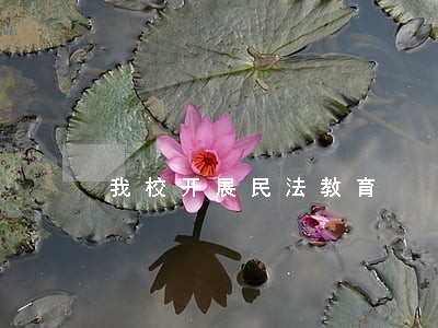 我校开展民法教育 我校开展民法教育