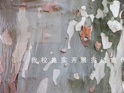 我校扎实开展宪法宣传教育活动
