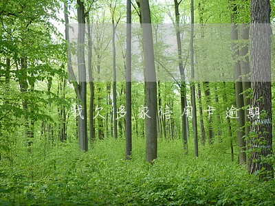 我欠多家信用卡逾期 我欠多家信用卡逾期