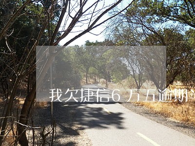 我欠捷信6万五逾期半年了 我欠捷信6万五逾期半年了