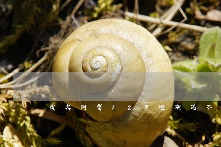我欠网贷12万逾期还不了暂时 我欠网贷12万逾期还不了暂时
