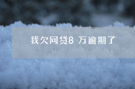 我欠网贷8万逾期了 我欠网贷8万逾期了