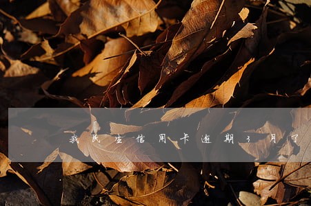 我民生信用卡逾期3月了不给办 我民生信用卡逾期3月了不给办