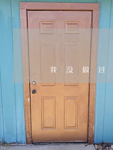 我没做过什么违法的事 我没做过什么违法的事