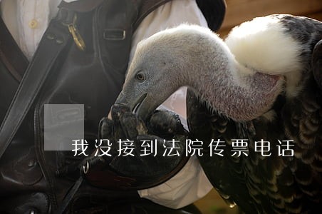我没接到法院传票电话 我没接到法院传票电话