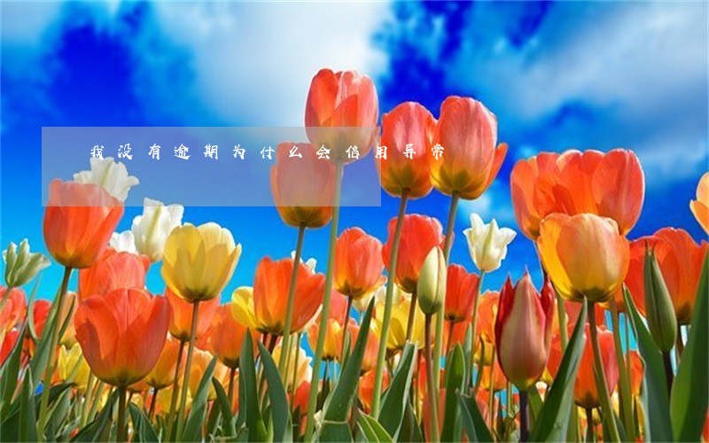 我没有逾期为什么会信用异常 我没有逾期为什么会信用异常