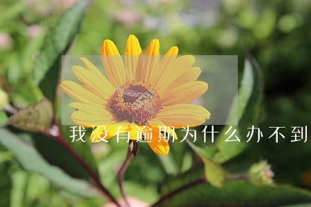 我没有逾期为什么办不到信用卡