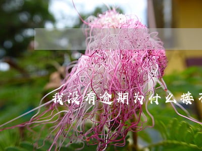 我没有逾期为什么接不到网贷 我没有逾期为什么接不到网贷