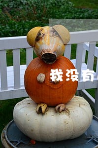 我没有逾期为何不能贷款