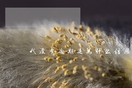 我没有逾期过为什么信用度不好 我没有逾期过为什么信用度不好
