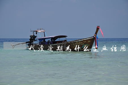 我没逾期为什么芝麻信用中等 我没逾期为什么芝麻信用中等