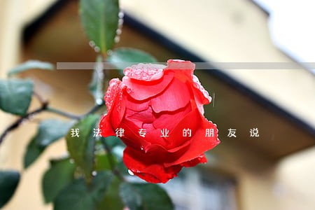 我法律专业的朋友说 我法律专业的朋友说