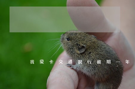 我爱卡交通银行逾期一年