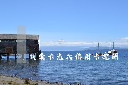 我爱卡光大信用卡逾期 我爱卡光大信用卡逾期