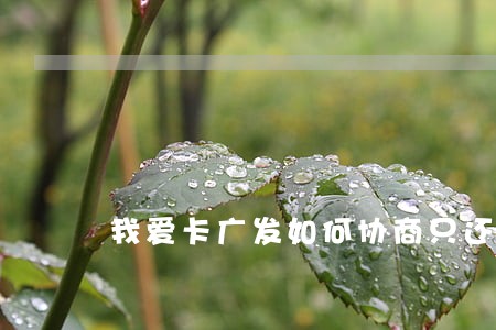 我爱卡广发如何协商只还本金 我爱卡广发如何协商只还本金