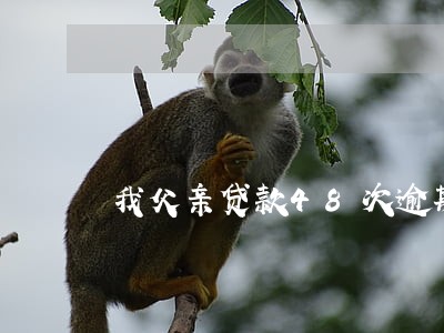 我父亲贷款48次逾期 我父亲贷款48次逾期