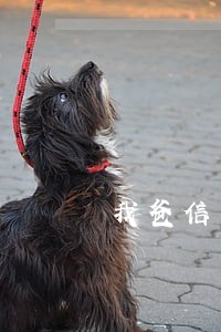 我爸信用卡逾期对我有影响吗 我爸信用卡逾期对我有影响吗