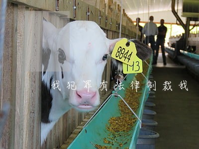 我犯罪有法律制裁我 我犯罪有法律制裁我