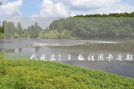 我现在18张信用卡逾期怎么办 我现在18张信用卡逾期怎么办