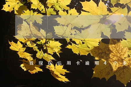 我现在信用卡逾期4个多月 我现在信用卡逾期4个多月