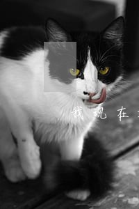 我现在好几个网贷逾期 我现在好几个网贷逾期