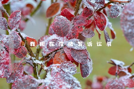我现在没法写诉讼书 我现在没法写诉讼书