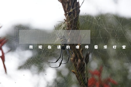 我现在请的律师要求打官司后 我现在请的律师要求打官司后