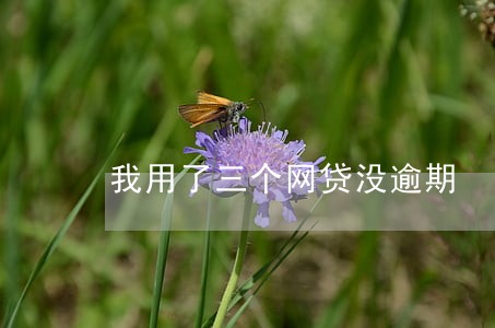 我用了三个网贷没逾期 我用了三个网贷没逾期