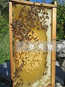 我用他手机给自己转账违法吗 我用他手机给自己转账违法吗