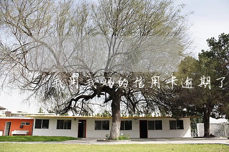 我用我妈的信用卡逾期了怎么办 我用我妈的信用卡逾期了怎么办