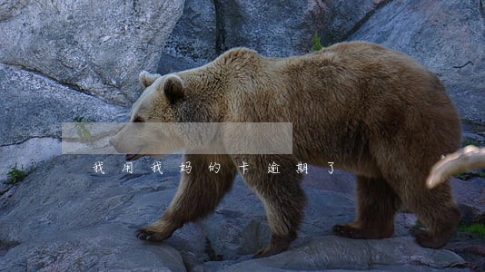我用我妈的卡逾期了