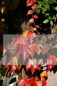 我男扮女装去女厕所上厕所违法么 我男扮女装去女厕所上厕所违法么