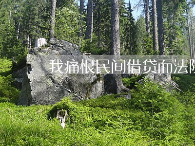 我痛恨民间借贷而法院却支持 我痛恨民间借贷而法院却支持