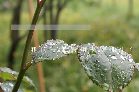 我的一张信用卡逾期十年 我的一张信用卡逾期十年