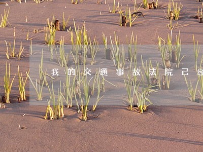 我的交通事故法院己经判决完 我的交通事故法院己经判决完