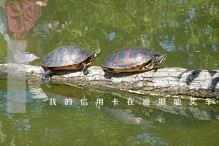 我的信用卡在逾期能买车吗 我的信用卡在逾期能买车吗