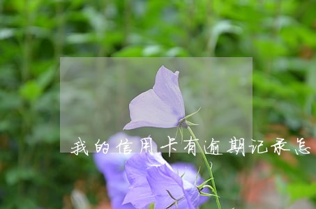 我的信用卡有逾期记录怎么办 我的信用卡有逾期记录怎么办