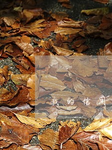 我的信用卡逾期10天了 我的信用卡逾期10天了