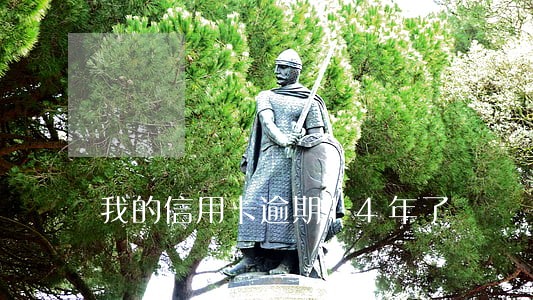 我的信用卡逾期14年了