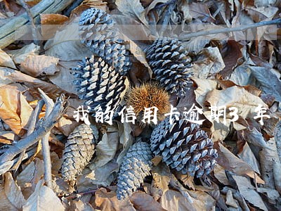 我的信用卡逾期3年 我的信用卡逾期3年