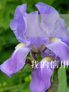 我的信用卡逾期三个月啦怎么办 我的信用卡逾期三个月啦怎么办