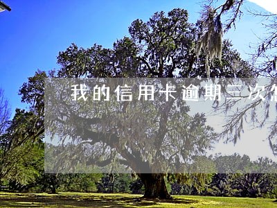 我的信用卡逾期三次怎么消除 我的信用卡逾期三次怎么消除