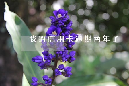 我的信用卡逾期两年了 我的信用卡逾期两年了