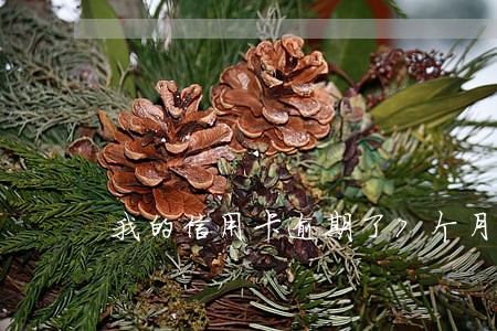 我的信用卡逾期了7个月了 我的信用卡逾期了7个月了