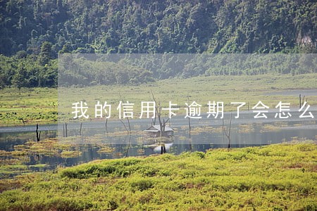 我的信用卡逾期了会怎么样 我的信用卡逾期了会怎么样